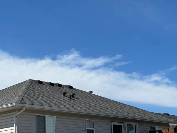 Best Chimney Flashing Repair  in Fairview Ferndale, PA